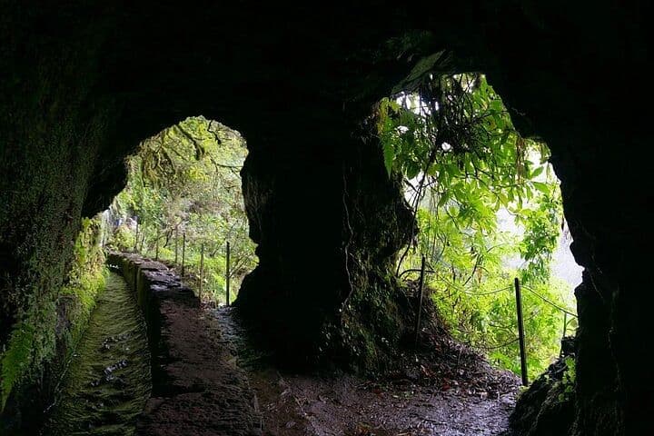 Gallery 4
