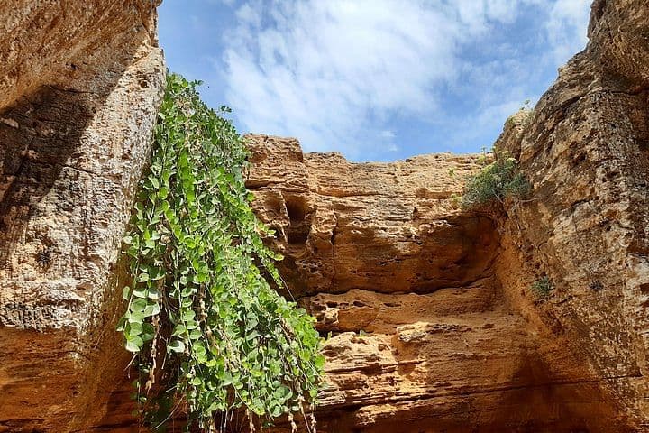 Daytrip to Kerkouen Unesco Site Kelibia and Houaria Caves