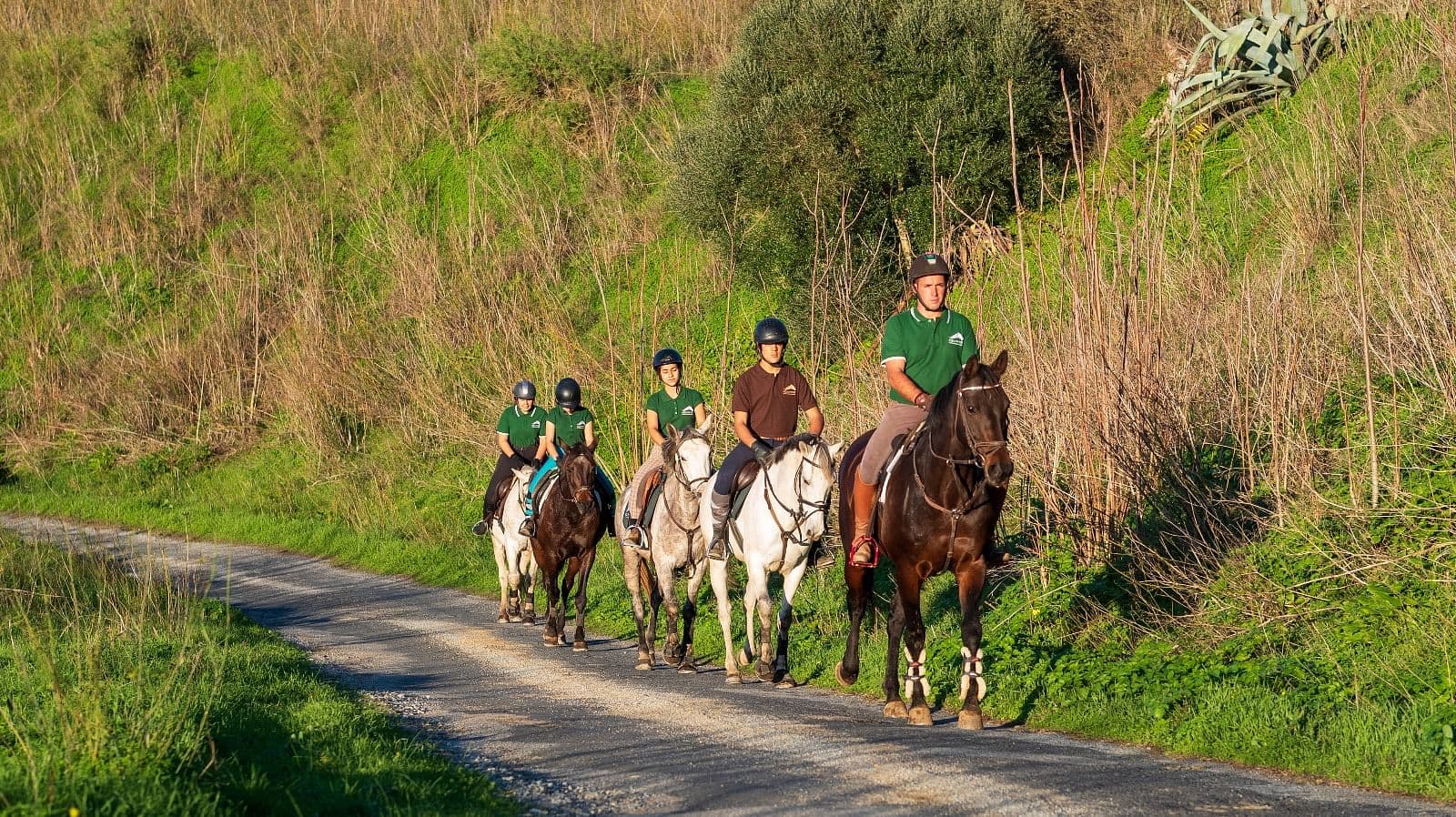 Passeio a cavalo pelo montado