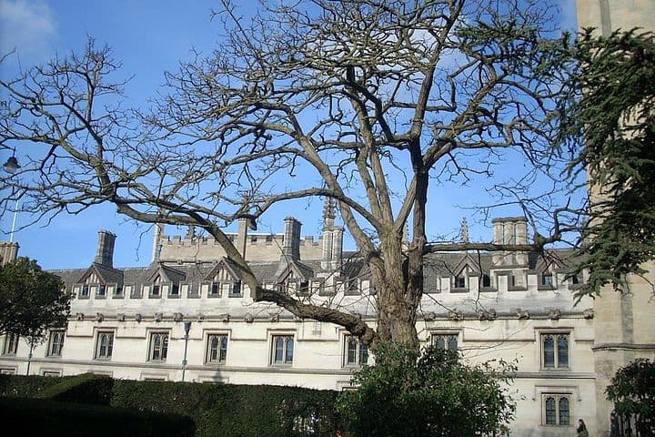 Gallery 4